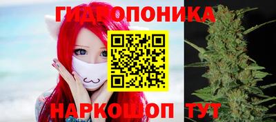 метадон Аргун