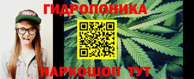 метадон Аргун