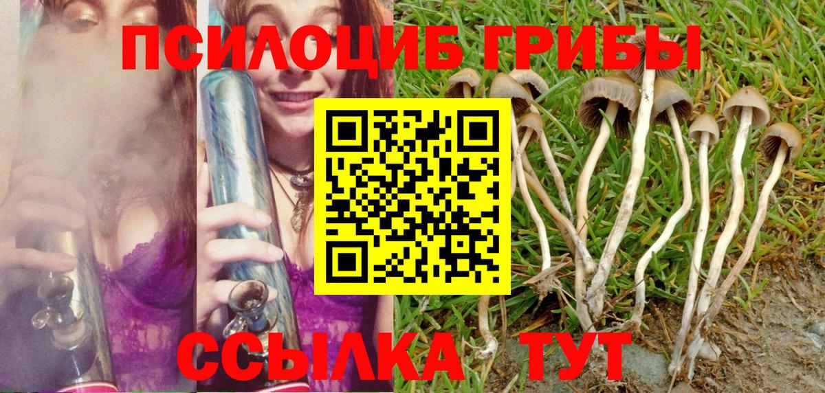 Галлюциногенные грибы Cubensis  Галлюциногенные грибы прущие грибы  Белгород 