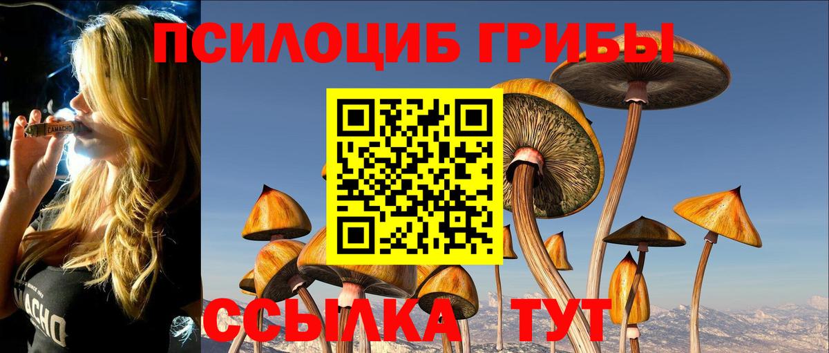 Псилоцибиновые грибы Cubensis Белгород